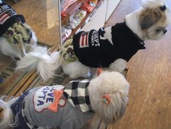 DSCF2066